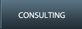 Consulting